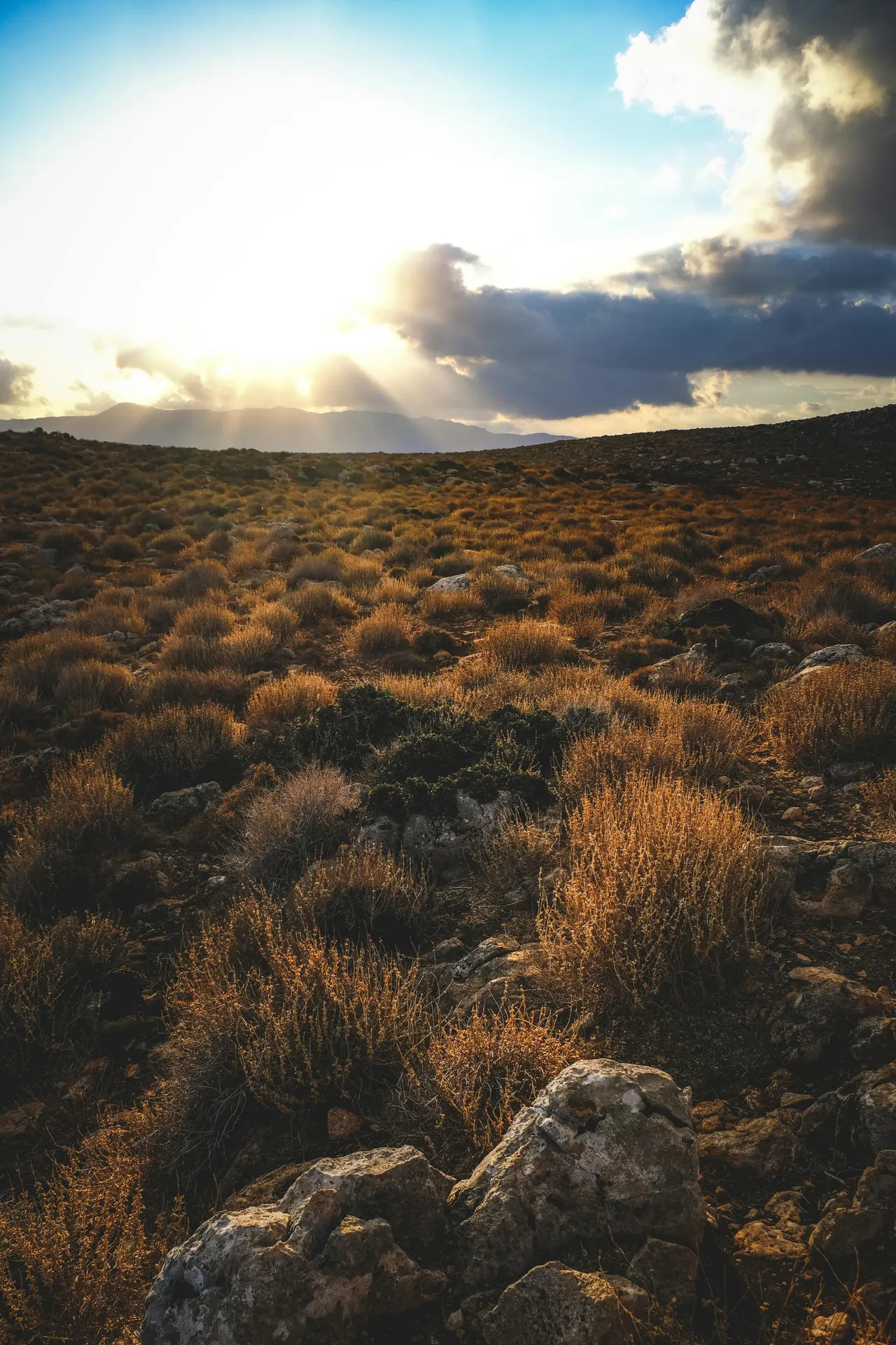 Rambla seca del desierto de Tabernas en Andalucía